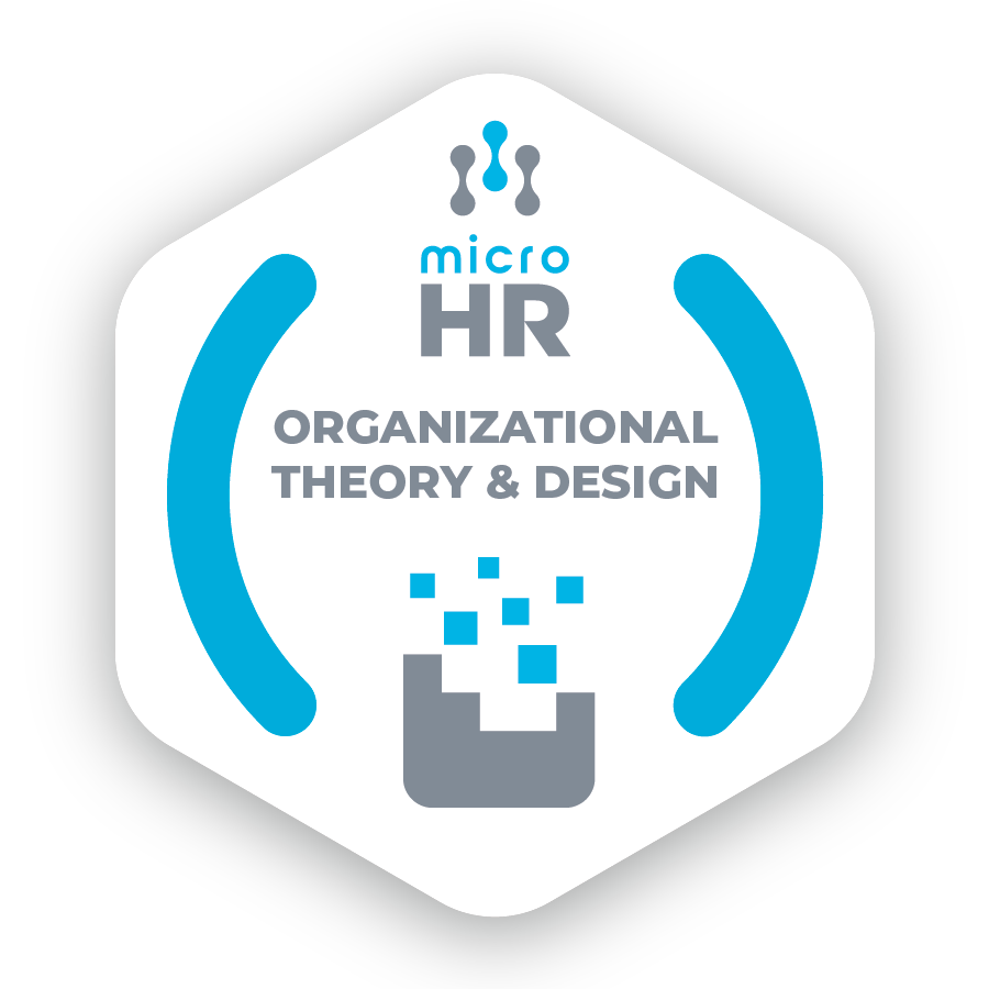Organizational Theory & Design